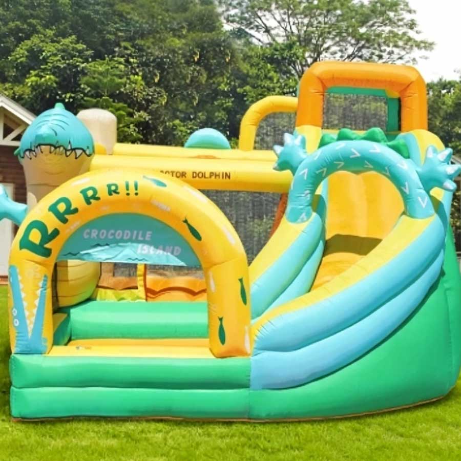 Dinosaur Inflatable Bounce Hou – Kids Outdoor Bounce House Bewertung und Preis