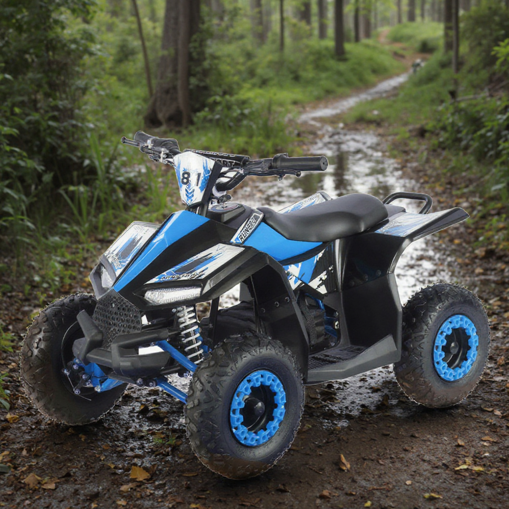 Kids Electric Quad Bike 36V 10 – Kids Outdoor Quad Bewertung und Preis