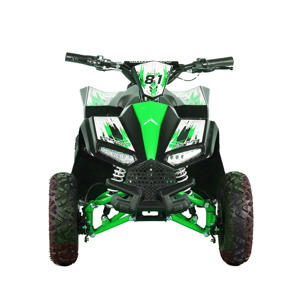 Kids Electric ATV Quad 1000W 4 – Kids Outdoor Electric Quad Bewertung und Preis