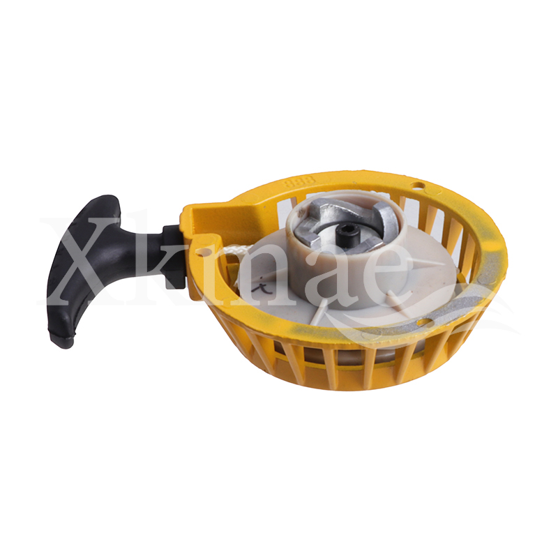 Aluminum Pull Start Recoil Sta – Kids Outdoor Quad Bewertung und Preis