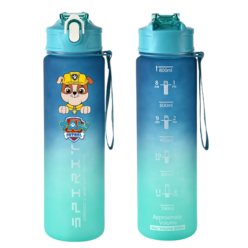 800ml PAW Patrol Sports Water  – Kids Outdoor Kitchen Bewertung und Preis