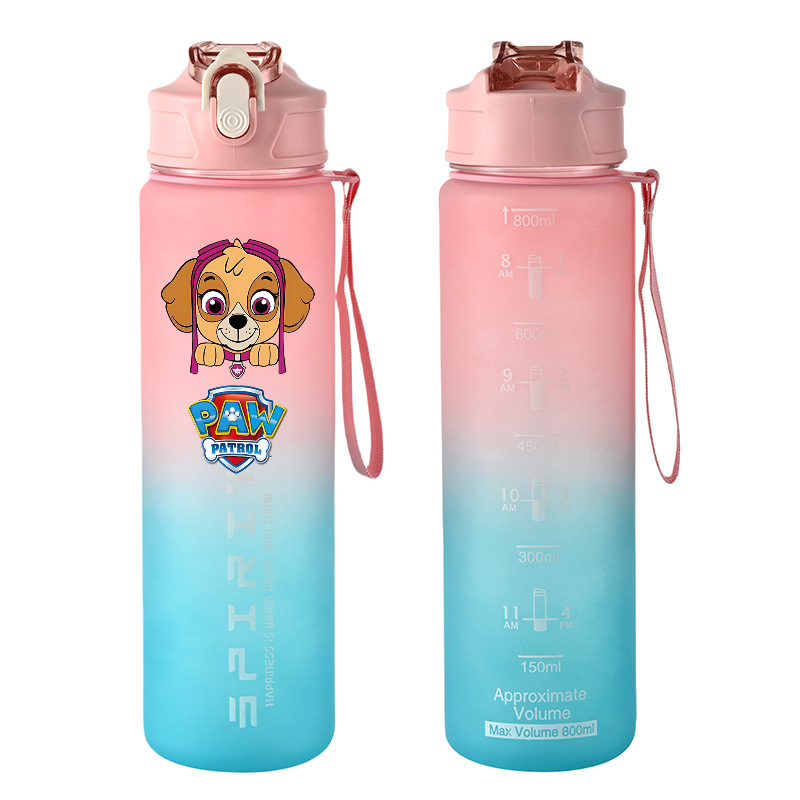 800ml PAW Patrol Sports Water  – Kids Outdoor Kitchen Bewertung und Preis