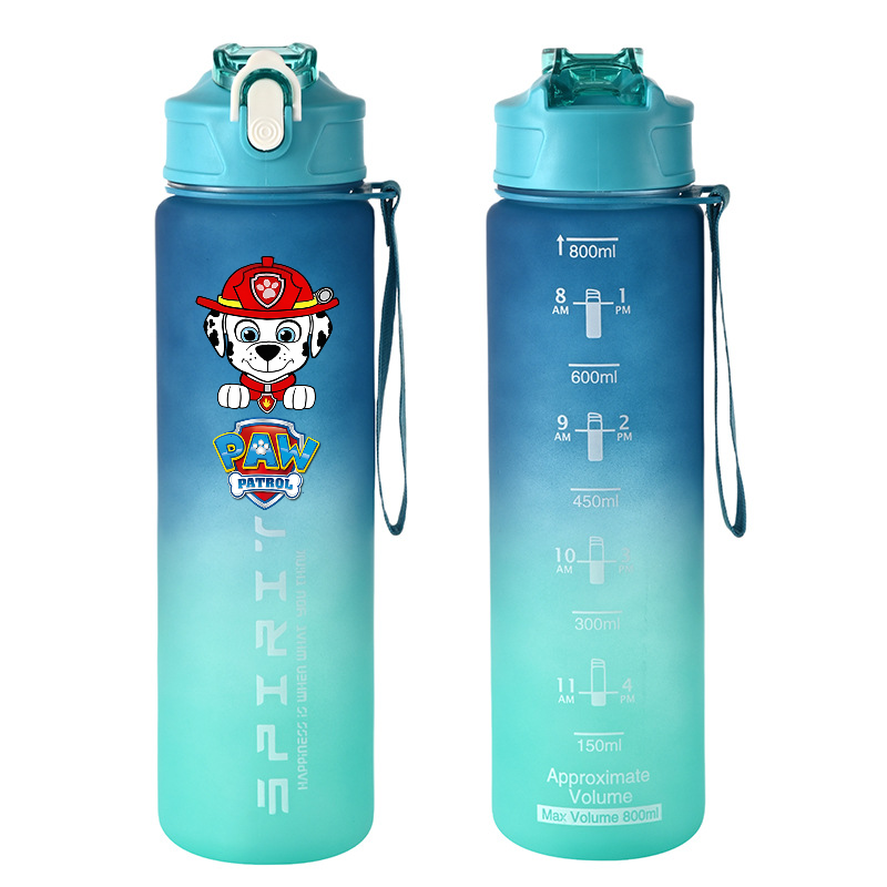800ml PAW Patrol Sports Water  – Kids Outdoor Kitchen Bewertung und Preis
