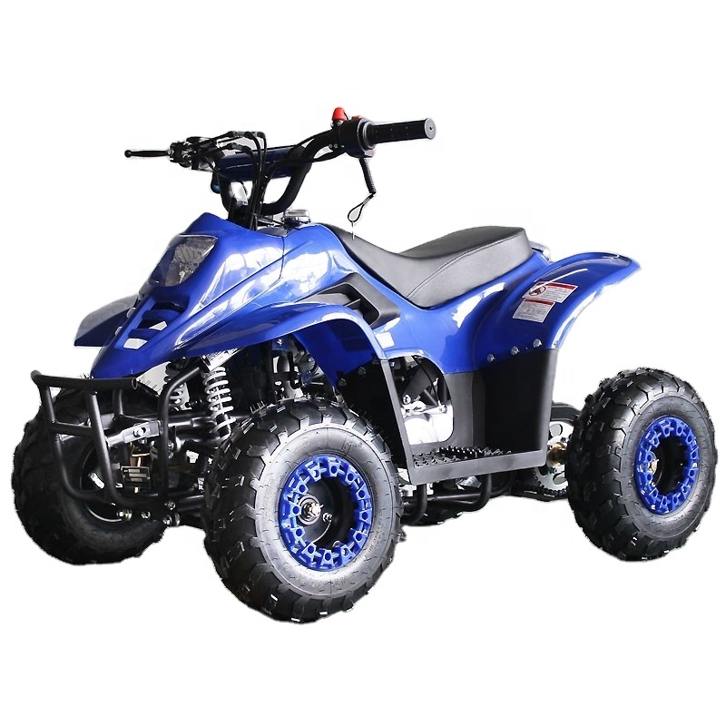 Hot Selling Model ATA110-F 110 – Kids Outdoor Quad Bewertung und Preis