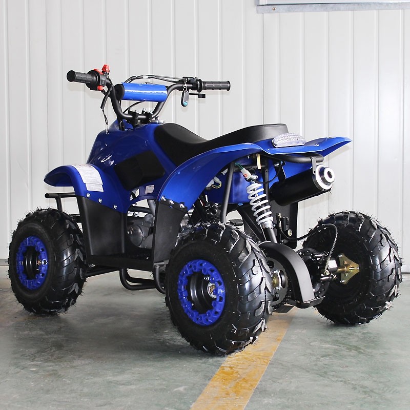 Hot Selling Model ATA110-F 110 – Kids Outdoor Quad Bewertung und Preis